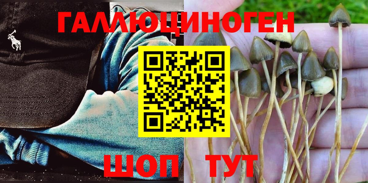 Среднеуральск  Галлюциногенные грибы Psilocybe  Вход с VPN 